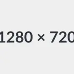 Lavorare insieme agli animali: ecco le professioni più diffuse