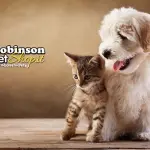 Robinson Pet Shop, la scelta numero uno per chi ama un animale