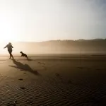 Vacanze pet friendly in Romagna: come organizzarle