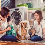 Hai un animale domestico in casa? Ecco gli elettrodomestici di cui non puoi fare a meno