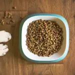 L’alimentazione del cane per prevenire disturbi intestinali