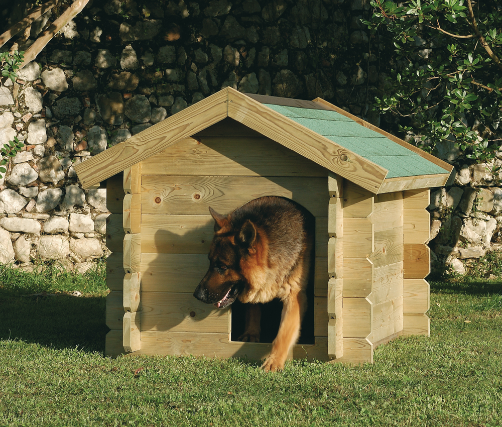 Come scegliere la cuccia giusta per il tuo cucciolo