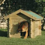 Come scegliere la cuccia giusta per il tuo cucciolo