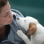 Traduttore per animali ? Amazon lancia la sfida tecnologica