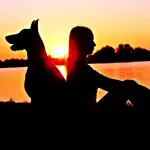 Come scegliere la miglior bara per il proprio cane