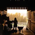 Lavorare insieme agli animali: ecco le professioni più diffuse