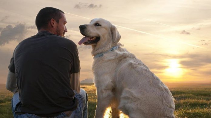 Se sei felice il tuo cane lo sa