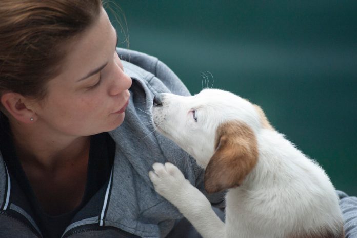 Traduttore per animali ? Amazon lancia la sfida tecnologica