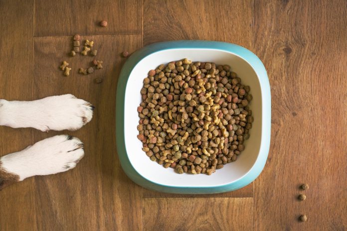 cibo per cani